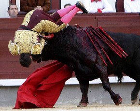 Julio Aparicio ha sido corneado en “Las Ventas” Madrid